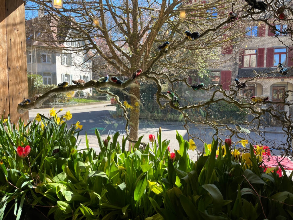 Frühling im Inneren Lind
